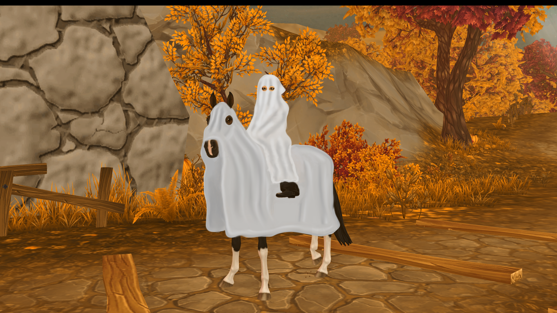 Det var svårt att hitta nån kostym som passar Birdys långa ben, detta var det bästa vi kunde få ihop👀 Jag tyckte det påminde om nått annat än spöken, men Birdy verkar nöjd iallafall👻