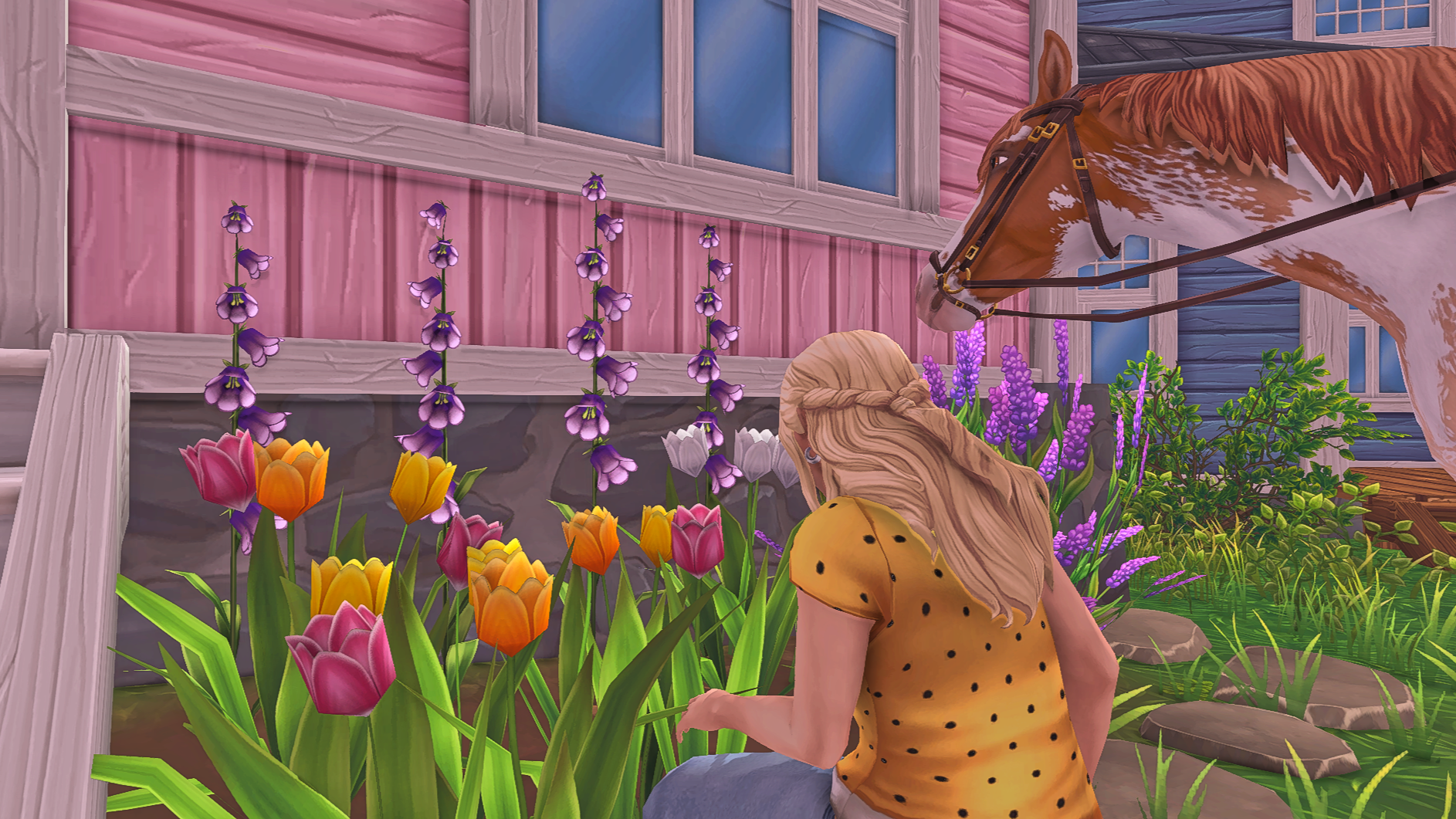 Idag har jag och ginger planterat nya vår blommor för att fira att våren kommer 🌞 💐